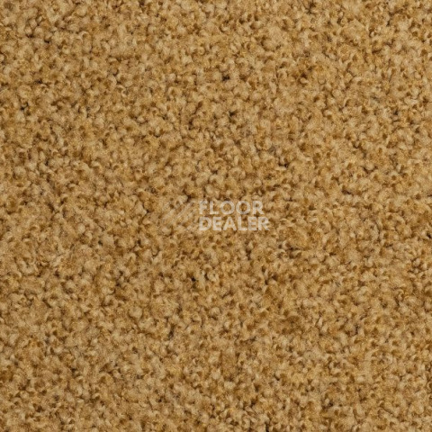 Ковролин Vorwerk Exclusive1009/Elara 2d91 фото 1 | FLOORDEALER